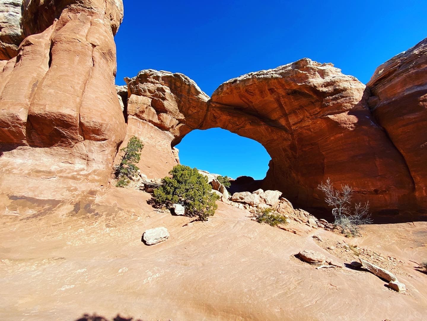 Car camping for FREE in Moab featuring TWO National Parks