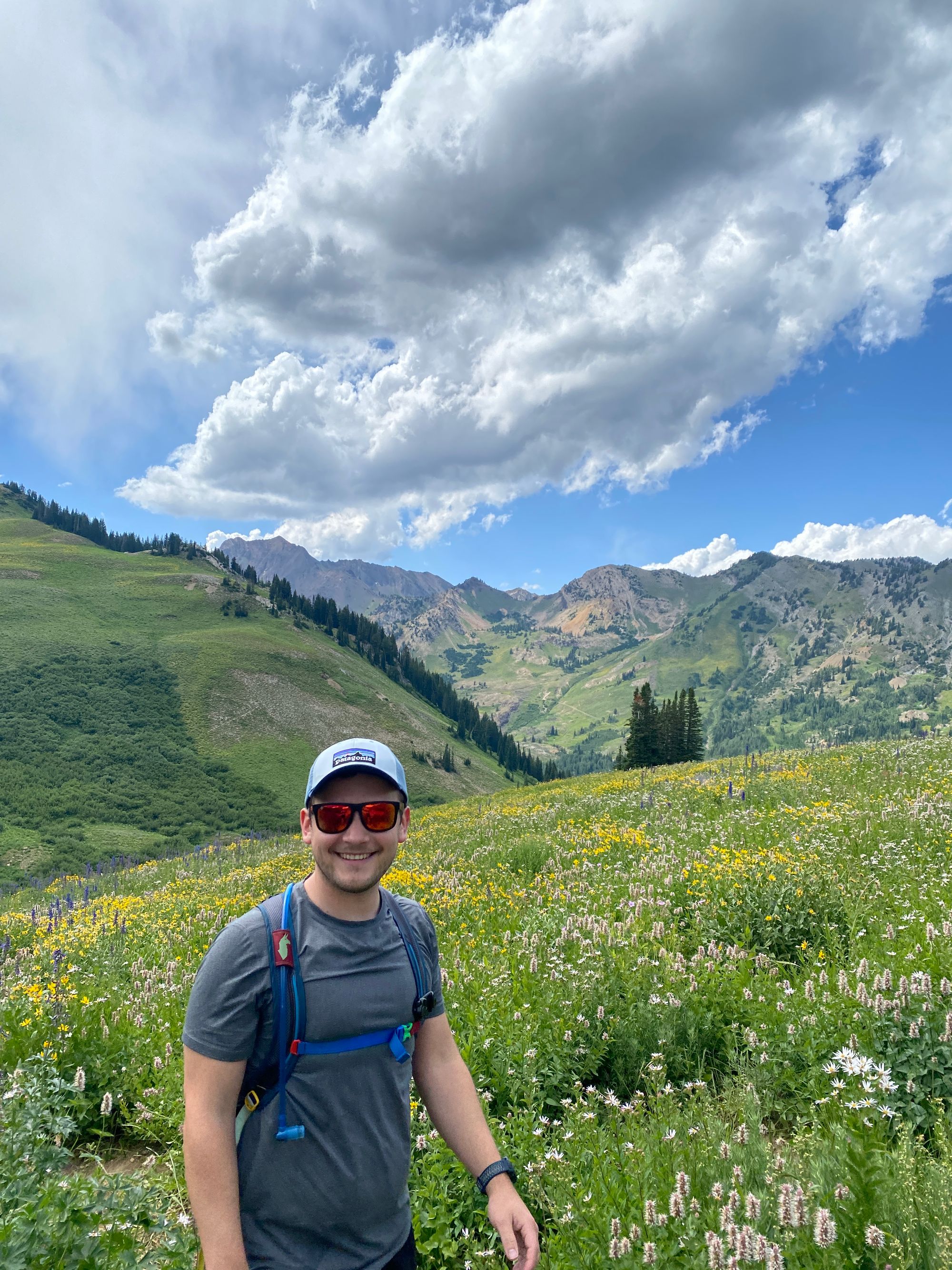 The wildflowers are popping in Salt Lake City's mountains!
