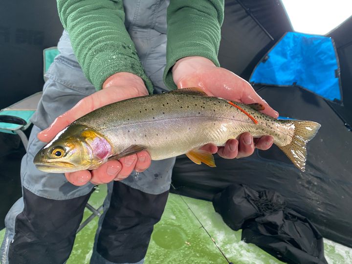 Ice fishing in the Idaho winter